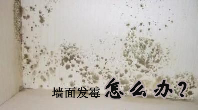墙面发霉